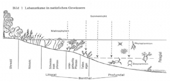 Biyolojik Havuzlar - Göller