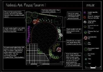 Peyzaj Proje & Planlama Hizmetleri