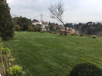 Barış Manço'nun Eski Evi