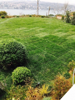 Barış Manço'nun Eski Evi