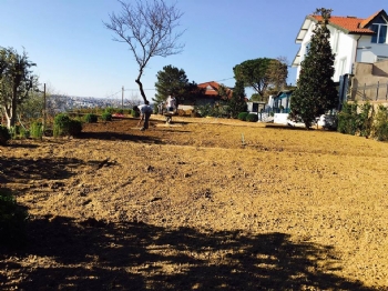 Barış Manço'nun Eski Evi